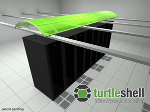 Turtle Shell Graphic